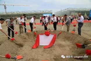 投资8000万将大海搬进工厂 新疆首个循环水工厂养殖示范基地助力水产品养殖新突破