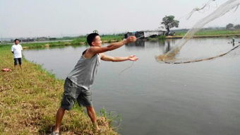 千年古郡·幸福南海 水产品养殖的传承与创新