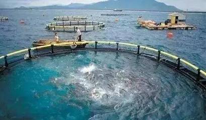 水产养殖新规出台，是挑战更是机遇 净水渔业引领产业未来