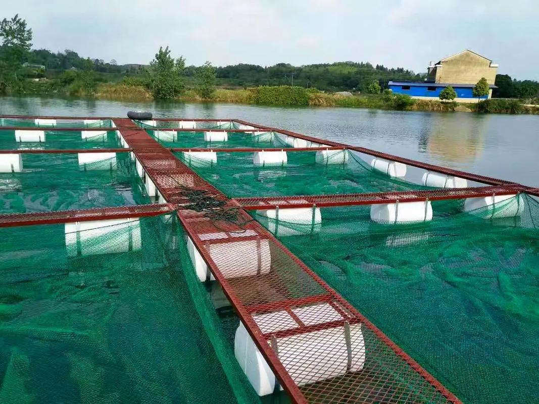 养殖场专用 #特种水产养殖 #四大家鱼养殖 #水产人 #网