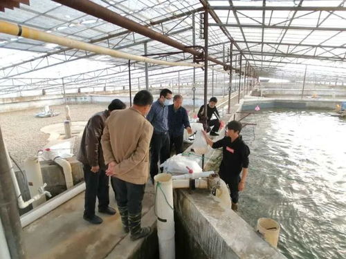 九江水产 产得出、运得走、不积压、不卖难，力促产业平稳有序发展