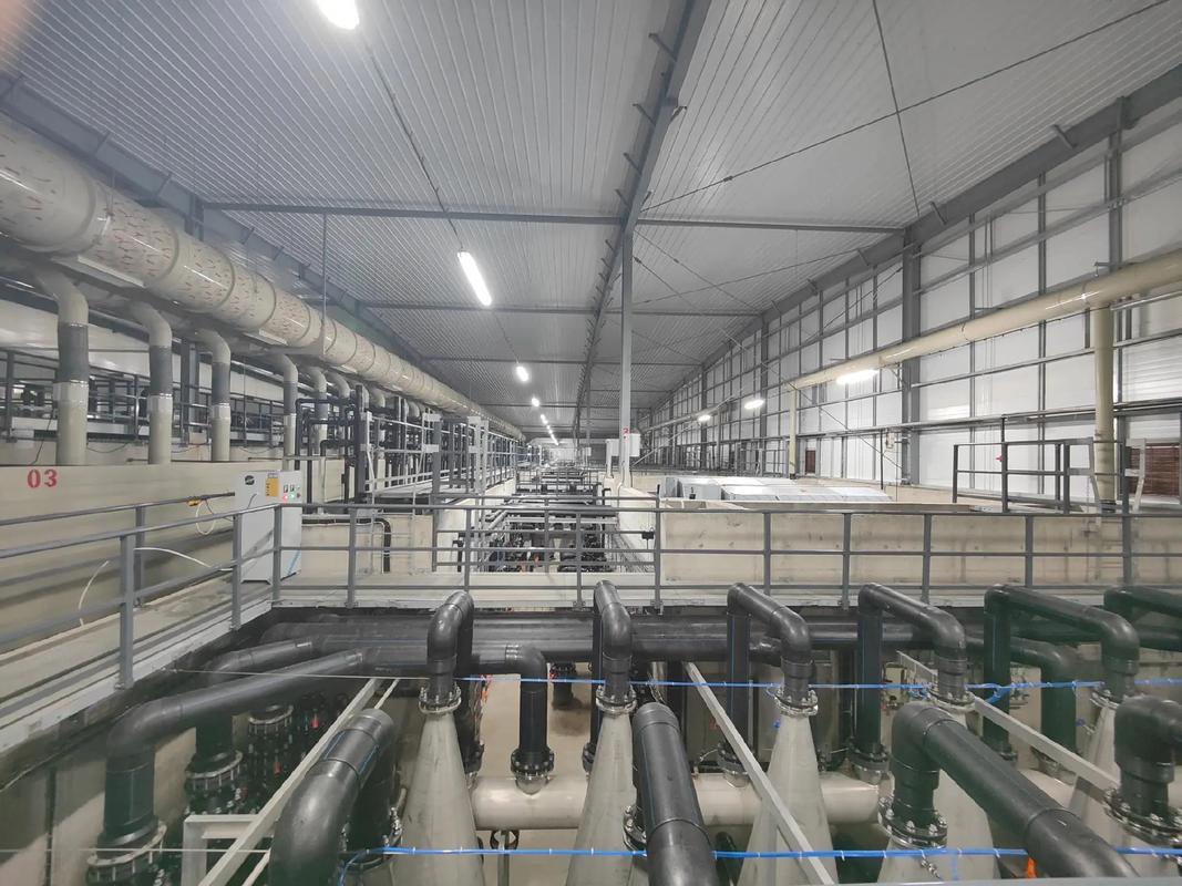 探访全球最大单体鳗鱼工厂化养殖基地 福建汇泽渔业如何引领水产品养殖新风尚