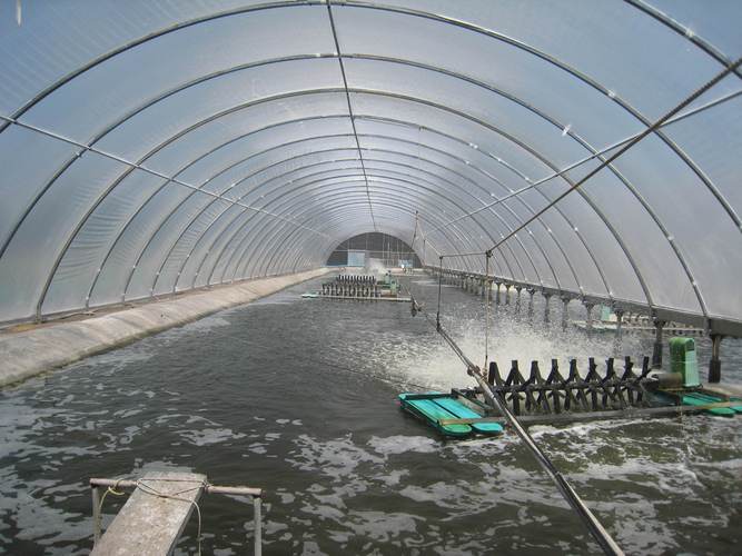 水产养殖业的广阔前景 为何水产品养殖仍具巨大发展空间