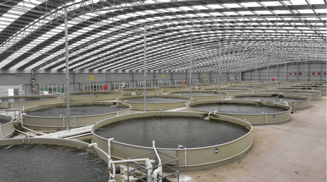 陆良水产大县显实力，水产品量产值双攀升 920天的辛勤耕耘获9.16亿元硕果