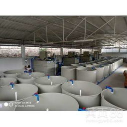 贵州循环水养殖项目 工厂化水循环系统推动高密度养鱼养虾发展